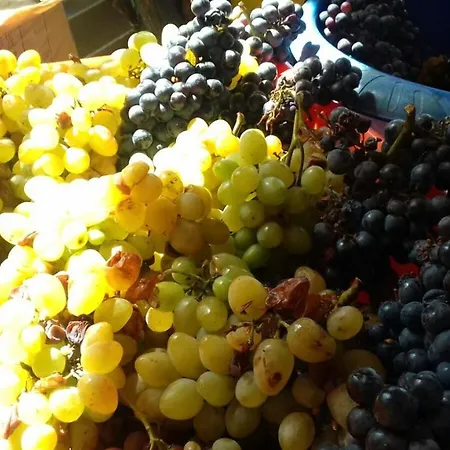 Appartamento Selmani